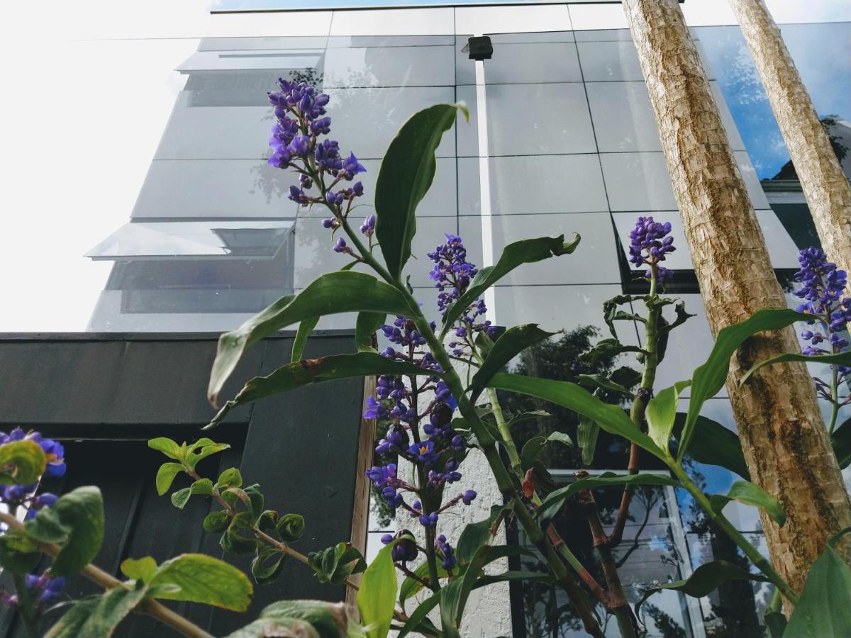 Eilat. אילת Pousada Bacacheri Curitiba Exterior foto